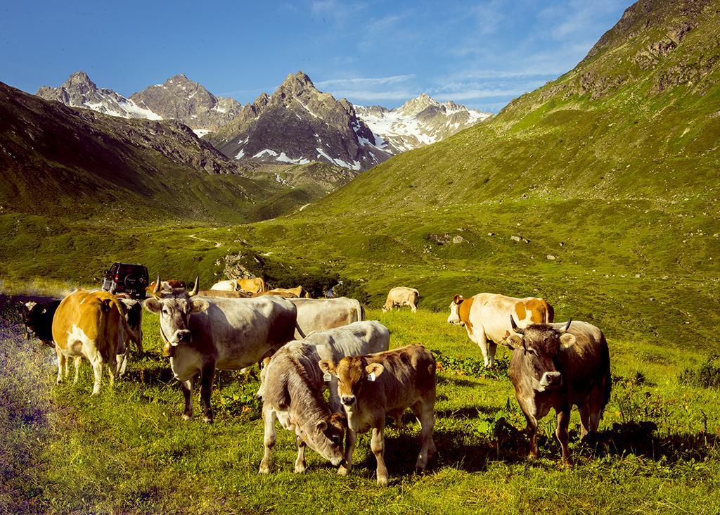 Alpenpension Maderer Gaschurn Eksteriør bilde