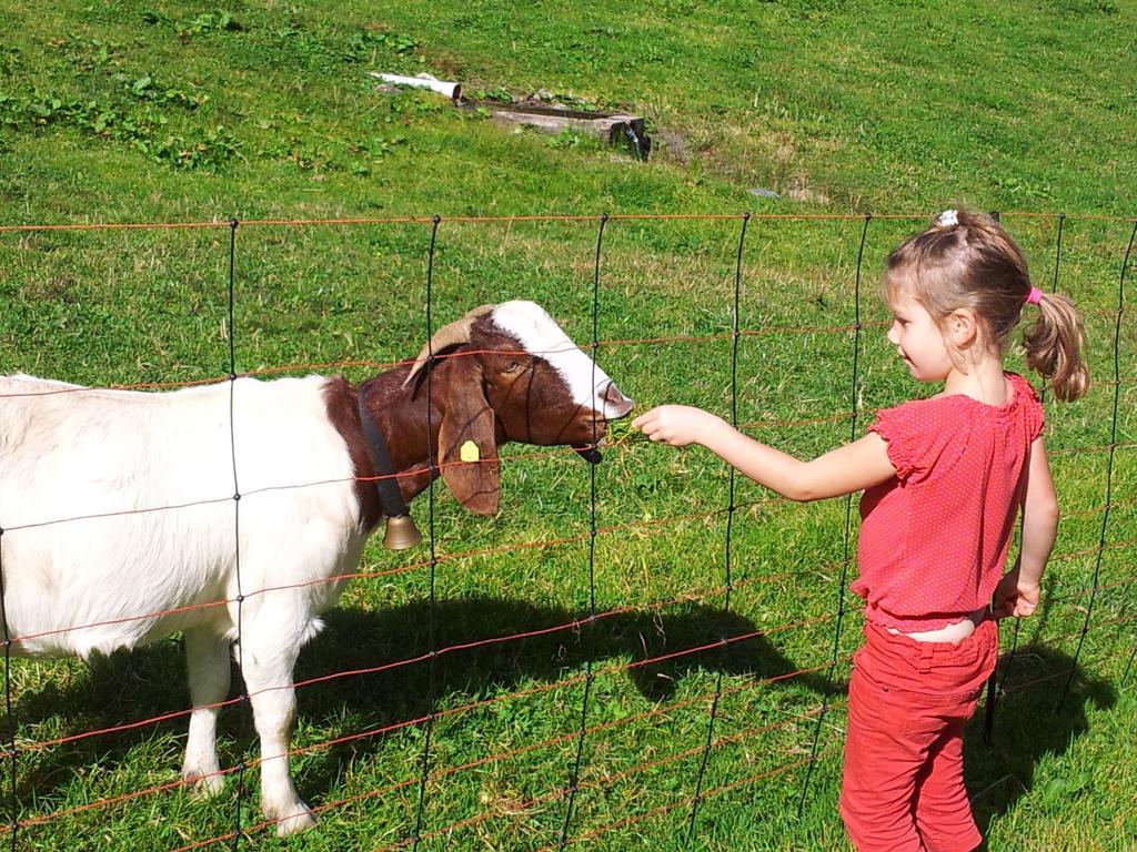 Alpenpension Maderer Gaschurn Rom bilde